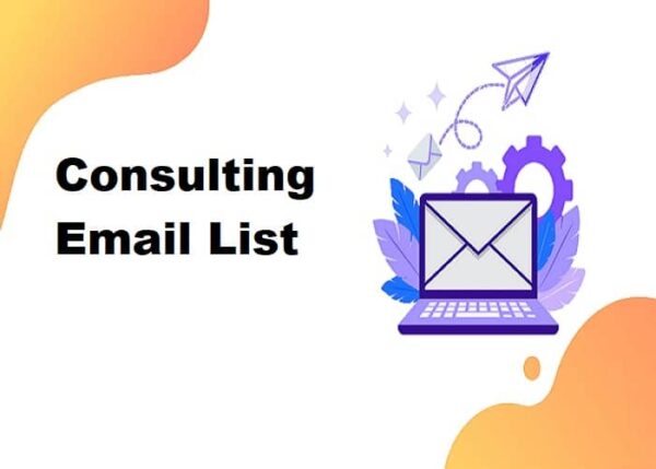 Consulting Consumer Email List